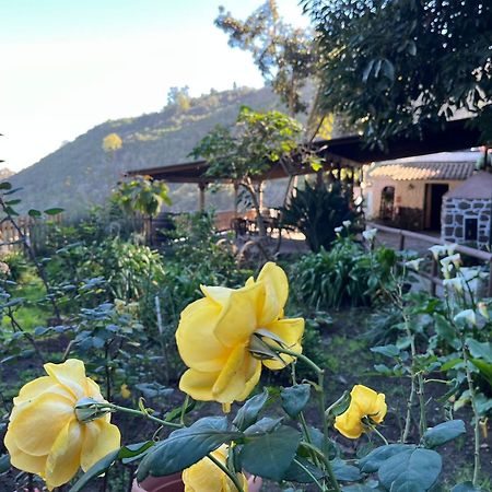 Finca Los Arcos Del Laurel Moya  Εξωτερικό φωτογραφία