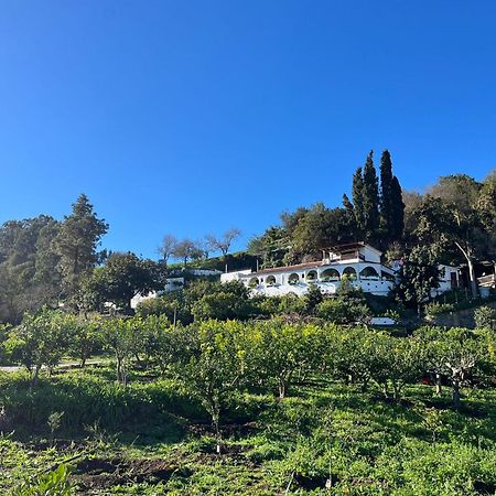 Finca Los Arcos Del Laurel Moya  Εξωτερικό φωτογραφία
