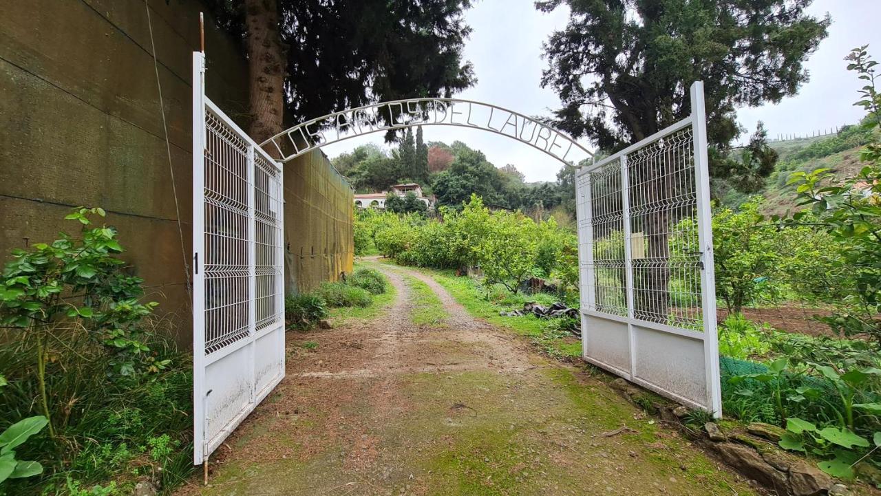Finca Los Arcos Del Laurel Moya  Εξωτερικό φωτογραφία