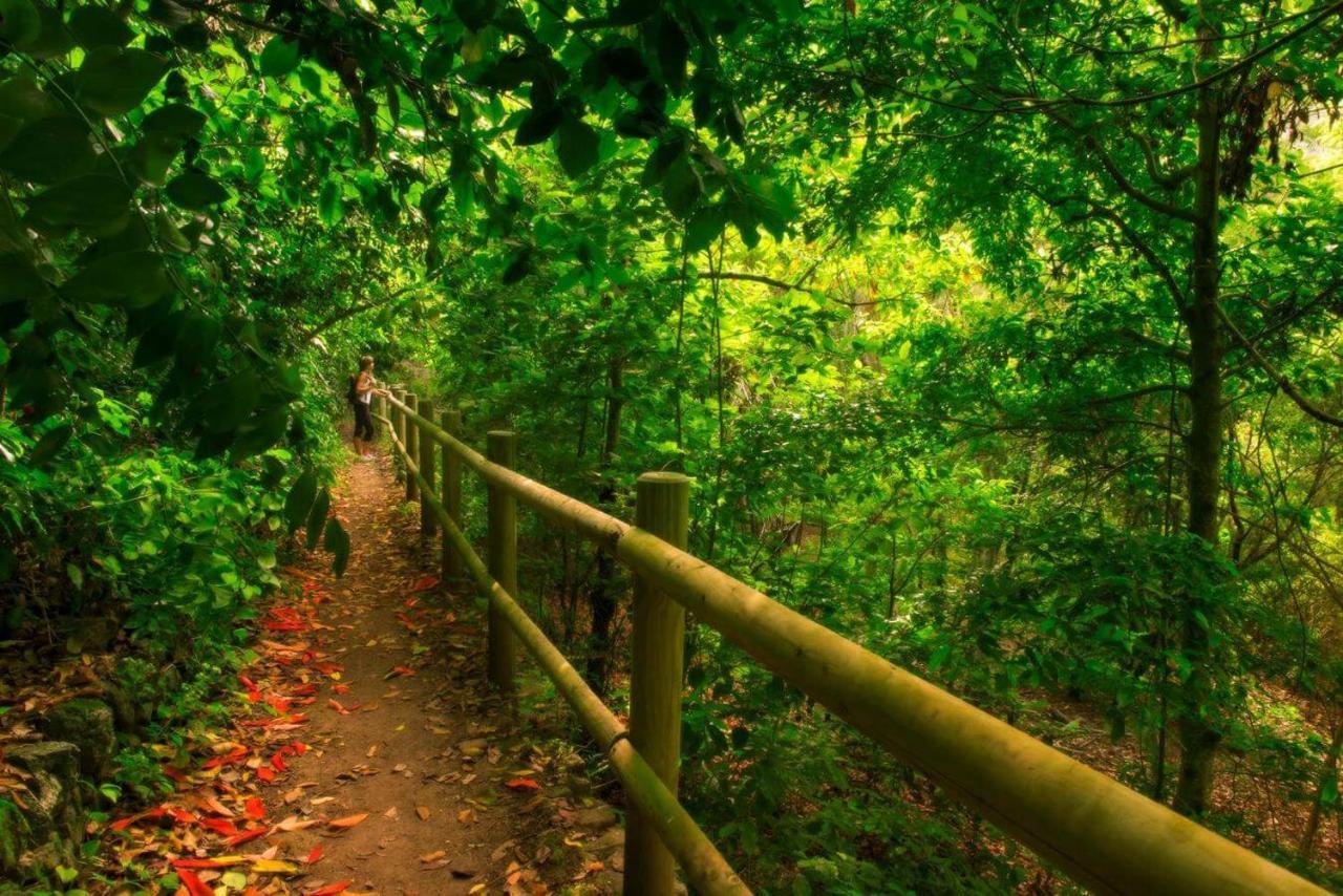 Finca Los Arcos Del Laurel Moya  Εξωτερικό φωτογραφία