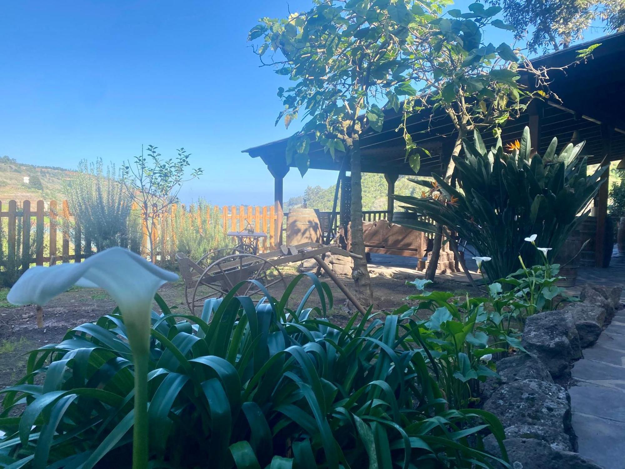 Finca Los Arcos Del Laurel Moya  Εξωτερικό φωτογραφία