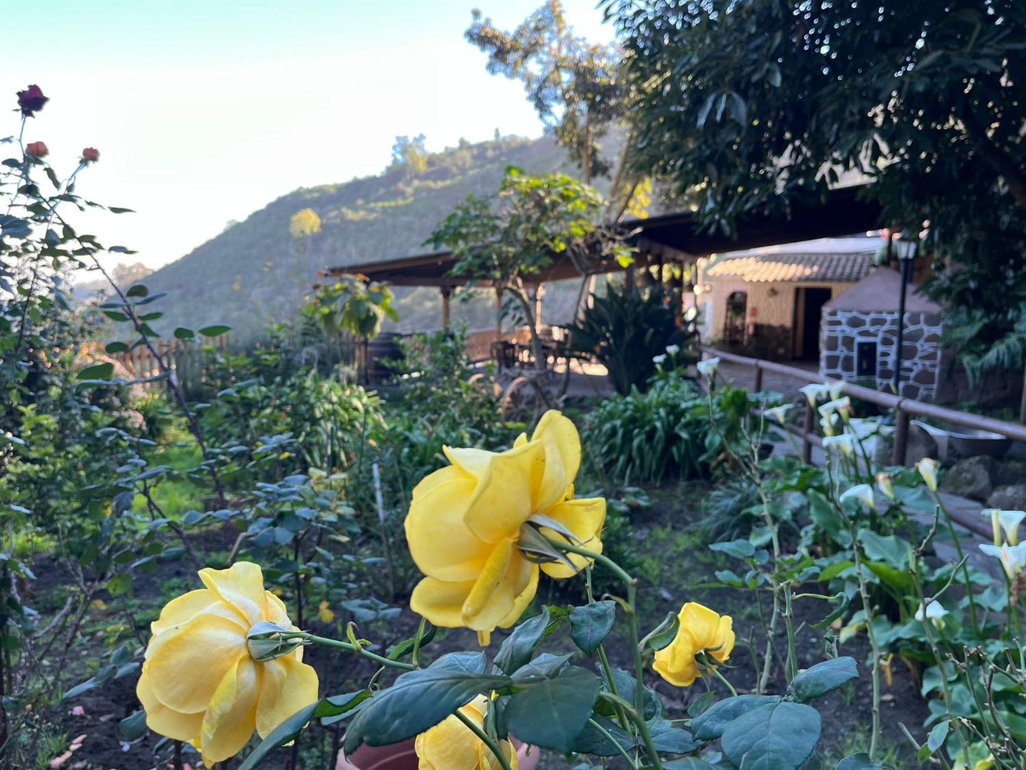 Finca Los Arcos Del Laurel Moya  Εξωτερικό φωτογραφία