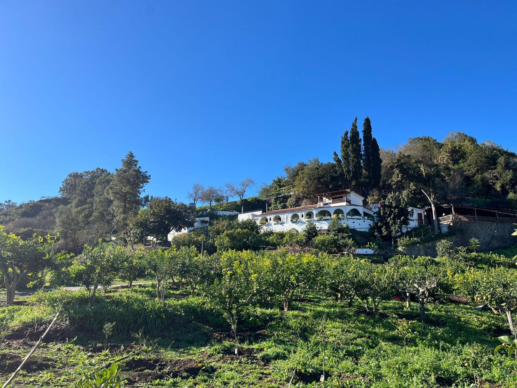 Finca Los Arcos Del Laurel Moya  Εξωτερικό φωτογραφία
