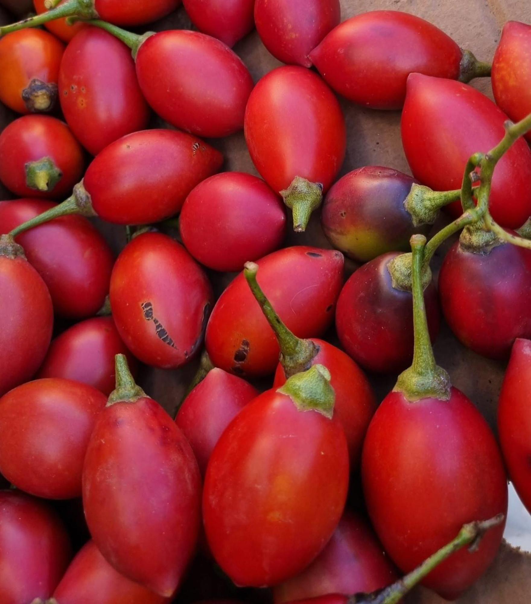 Finca Los Arcos Del Laurel Moya  Εξωτερικό φωτογραφία