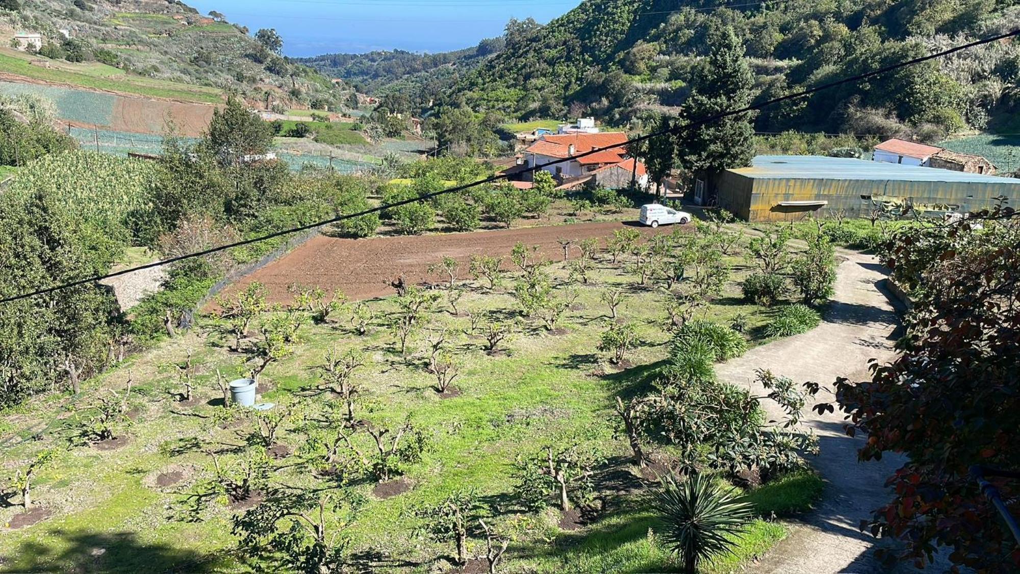 Finca Los Arcos Del Laurel Moya  Εξωτερικό φωτογραφία