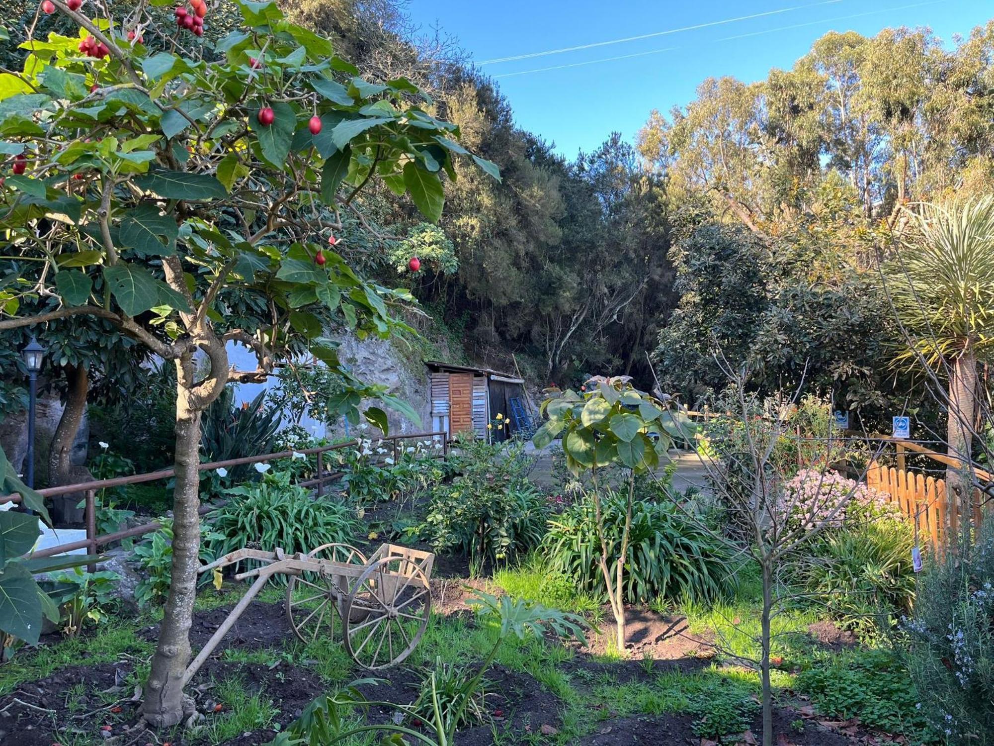 Finca Los Arcos Del Laurel Moya  Εξωτερικό φωτογραφία