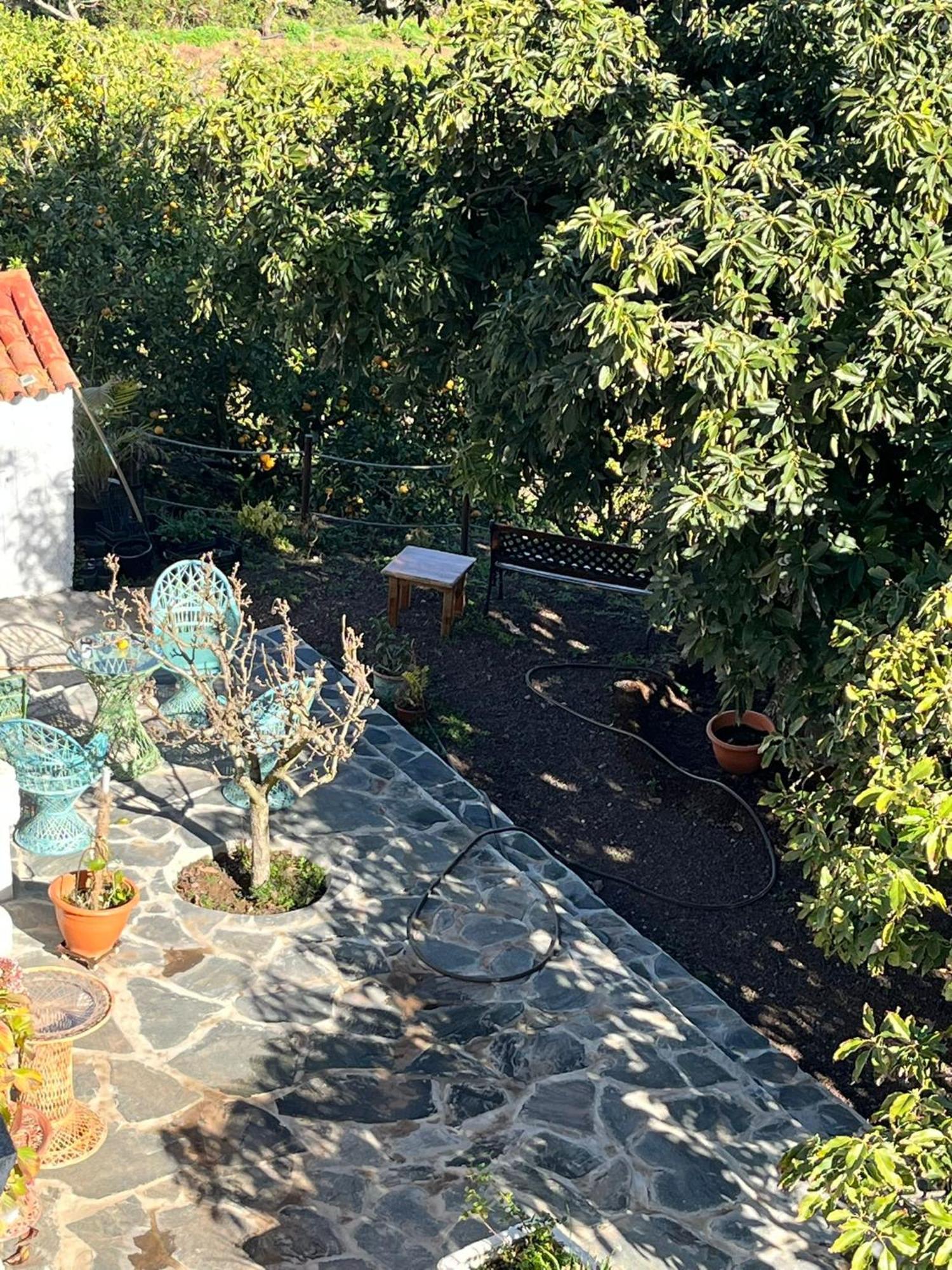 Finca Los Arcos Del Laurel Moya  Εξωτερικό φωτογραφία