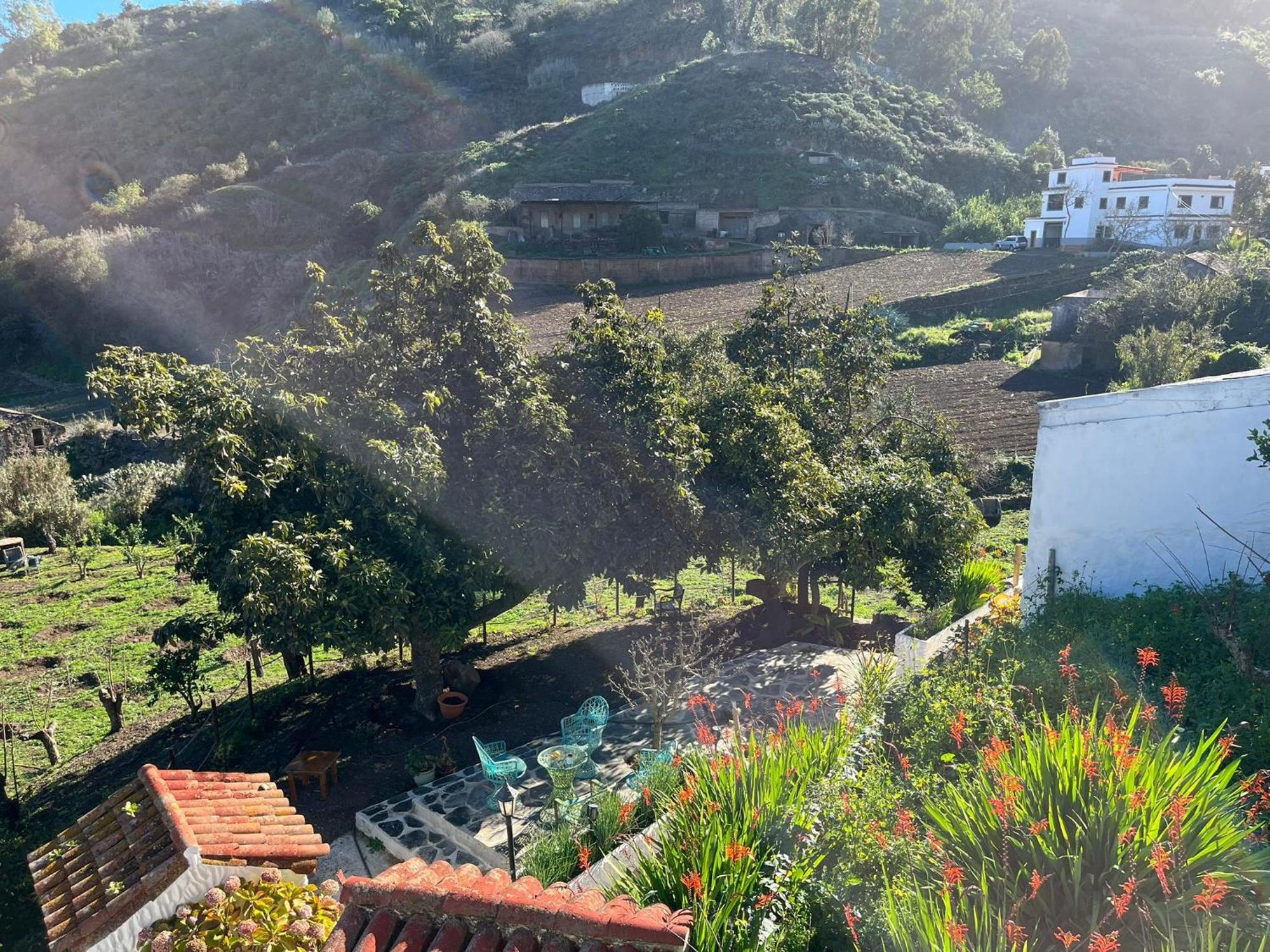 Finca Los Arcos Del Laurel Moya  Εξωτερικό φωτογραφία