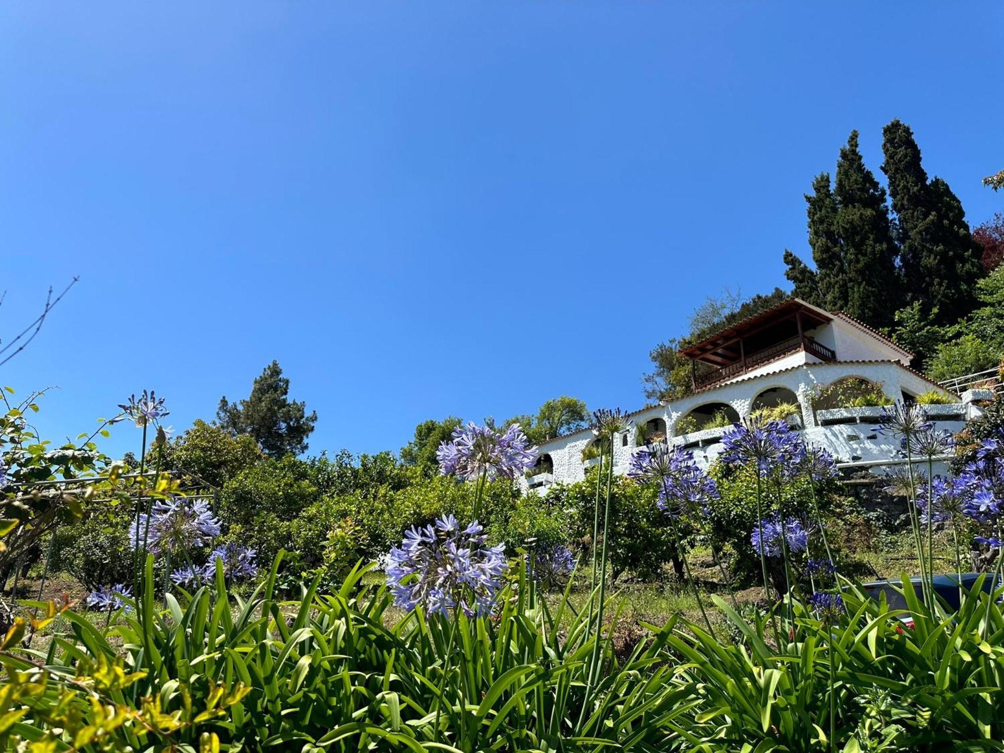 Finca Los Arcos Del Laurel Moya  Εξωτερικό φωτογραφία